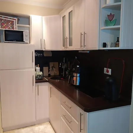 Sea Bliss Retreat -santa Marina - Daire